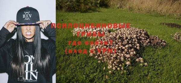 дурь Надым