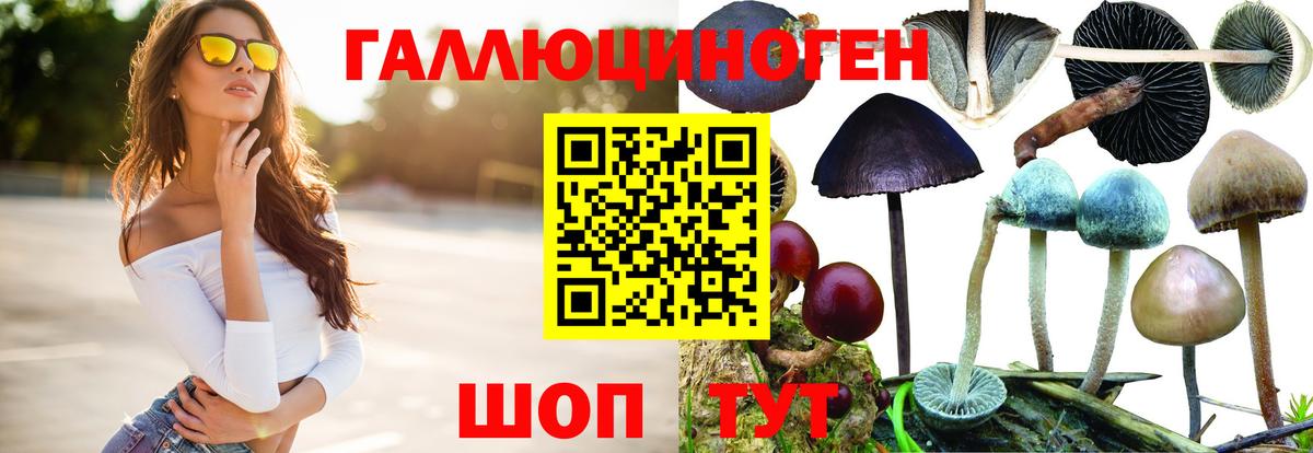 Галлюциногенные грибы Cubensis Протвино